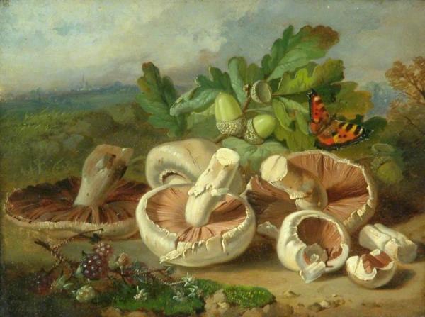 Still Life With Mushrooms by John Wainwright Oil Painting Reproductions