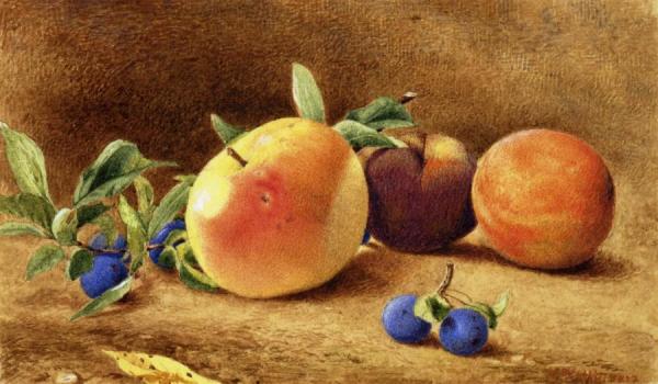 John William Hill Study Of Fruit