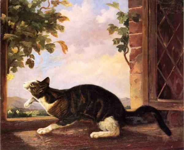 John Woodhouse Audubon Cat Stalking A Butterfly