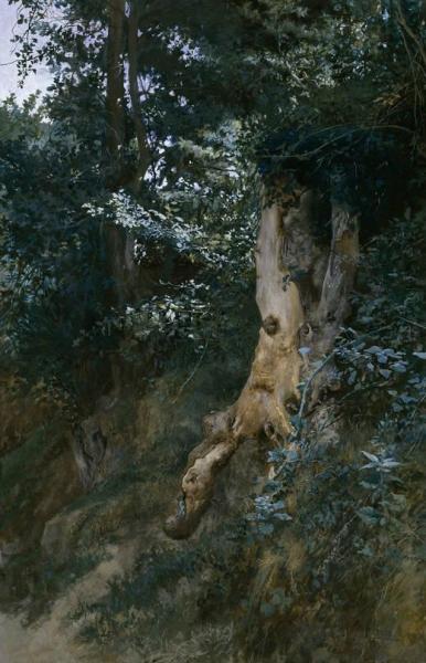 Jose Jimenez Y Aranda Paisaje Boscoso