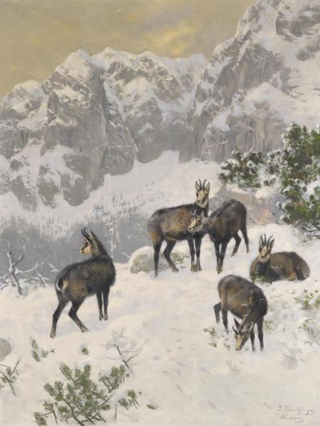 Gämse Im Winter by Josef Schmitzberger