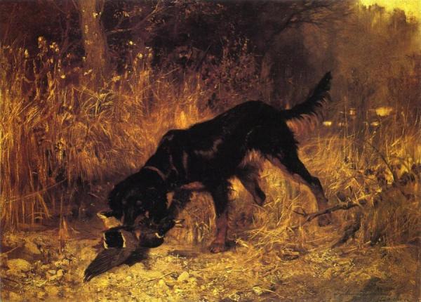 Retrieving A Mallard by Josef Schmitzberger