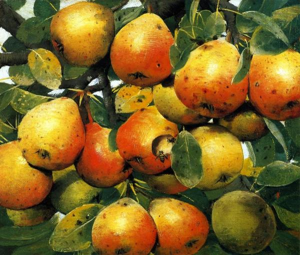 Pears by Joseph Decker