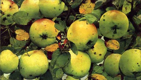 The Red Admiral by Joseph Decker