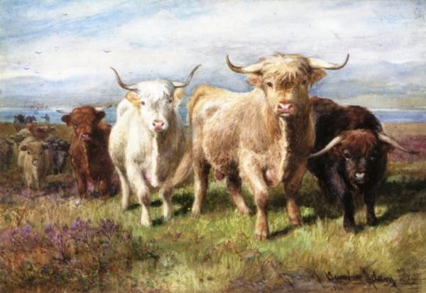 The Island Herd by Joseph Denovan Adam
