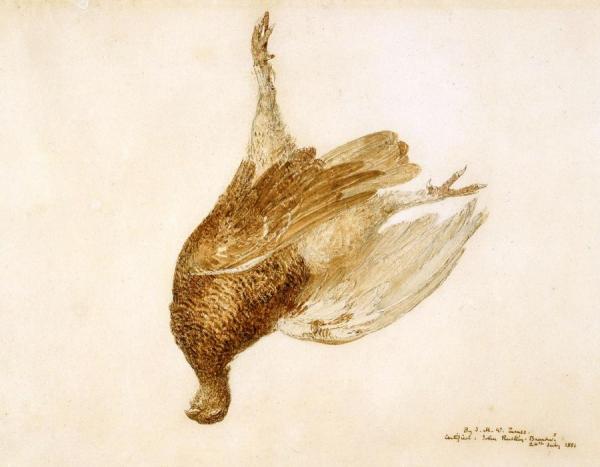 Dead Grouse by Joseph Mallord William Turner