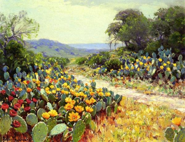 Cactus In Bloom by Julian Onderdonk