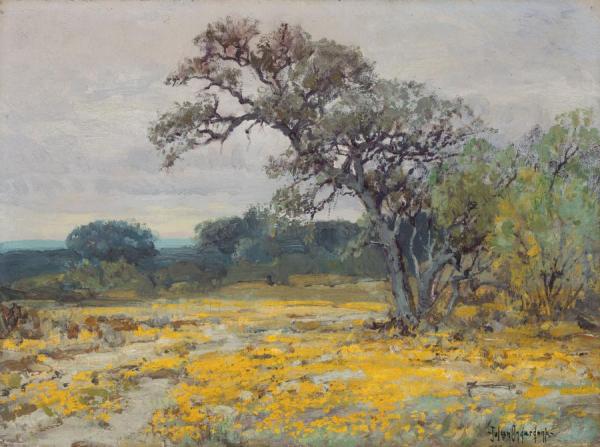 Coreopsis, Near San Antonio, Texas, 1919 by Julian Onderdonk