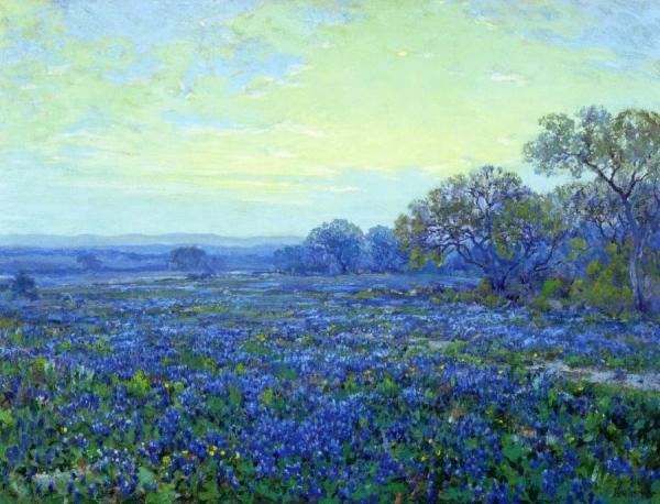 Field Of Bluebonnets Under Cloudy Sky by Julian Onderdonk