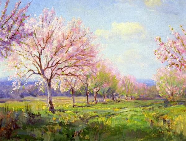 Peach Orchard On Mavericks Farm by Julian Onderdonk