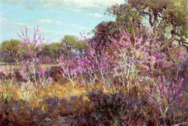 Redbud Tree In Bloom At Leon Springs, San Antonio by Julian Onderdonk