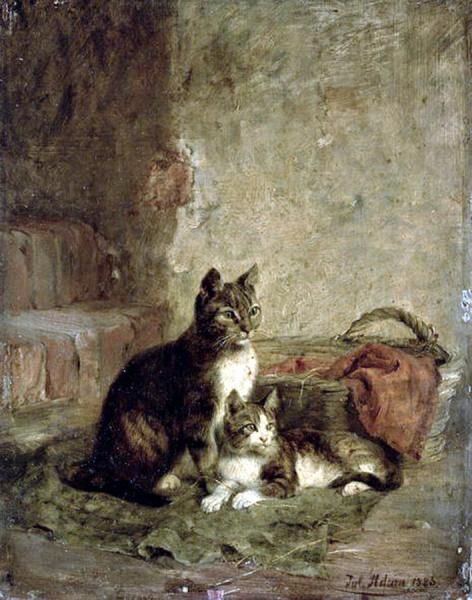 Cats by Julius Adam