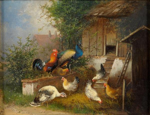 Julius Scheuerer Colorful Feathers