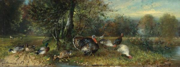 Julius Scheuerer Ducks And Turkeys