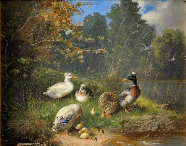 Julius Scheuerer Family Of Ducks On The River Bank