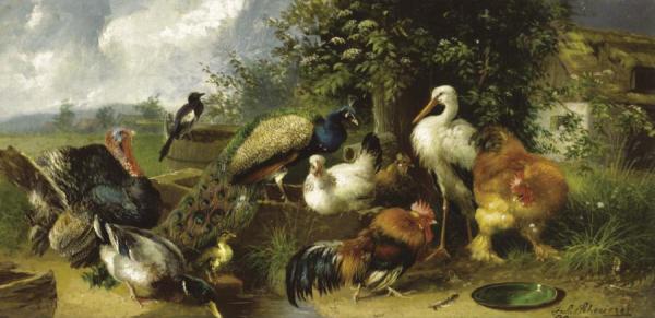Julius Scheuerer Farmyard Birds