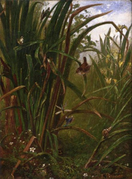 Marsh Interior by Karl Bodmer Oil Painting Reproductions