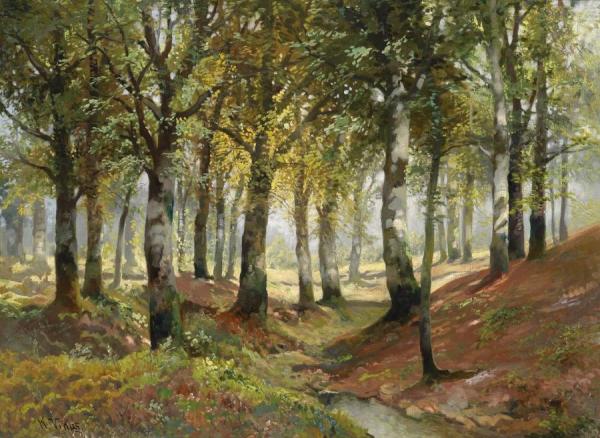 Sunlit Woodland by Karl Vikas Oil Painting Reproductions