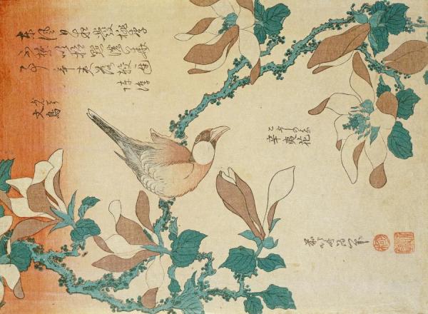 A Paddy Bird Perched On A Flowering Magnolia Branch by Katsushika Hokusai
