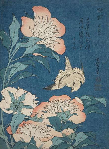 Peonies And Canary(shakuyaku, Kanaari),from An Untitled Series Known As Small Flowers by Katsushika Hokusai