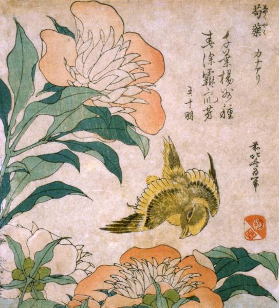 Peony And Canary by Katsushika Hokusai Oil Painting Reproductions