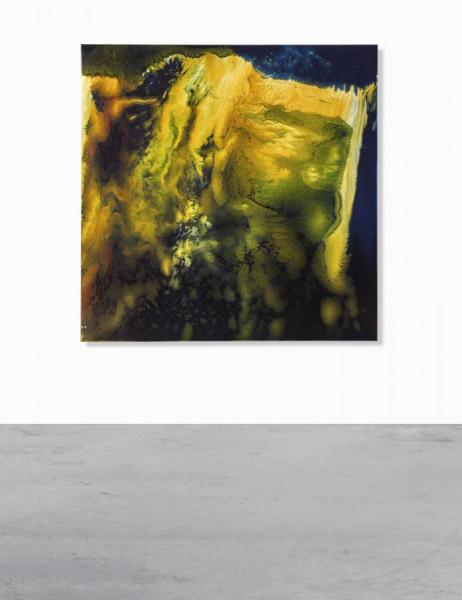 Nature Painting (mirror) by Keith Tyson