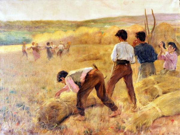 Segando by Laureano Barrau