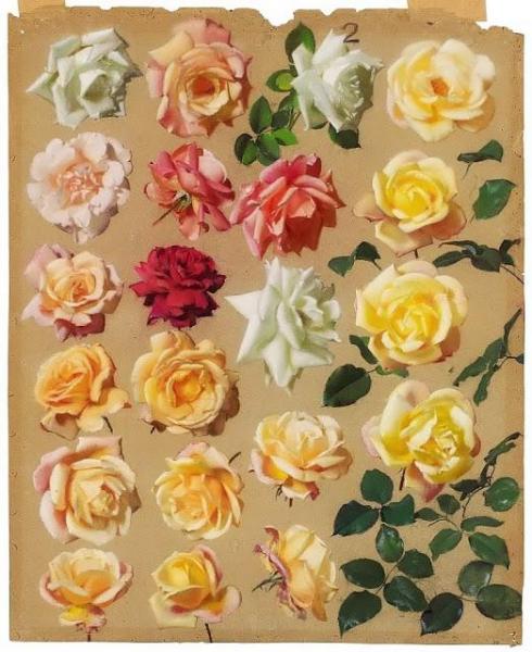 Leon Jan Wyczolkowski Large Study Of Roses