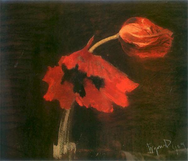 Poppies by Leon Jan Wyczolkowski
