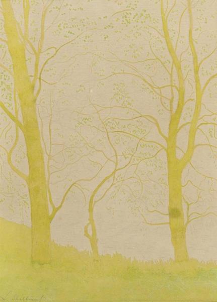 Bomen Bij De Vijver   Arbres Pres De L'etang by Léon Spilliaert