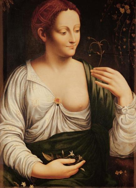 Leonardo Da Vinci Columbine