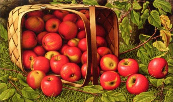 Basket Of Apples by Levi Wells Prentice
