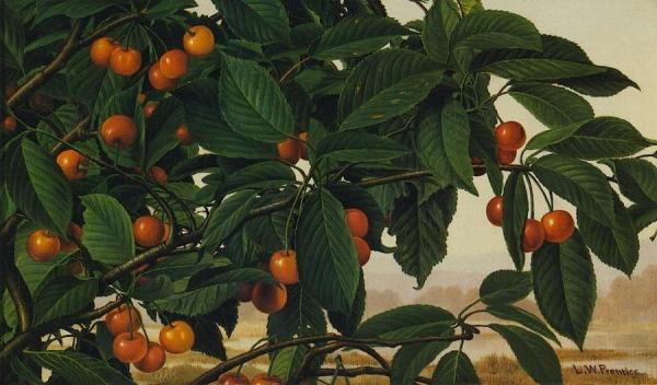 Cherries On A Bough by Levi Wells Prentice