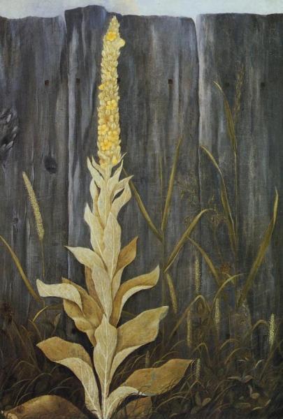 Flowering Plant Against A Fence by Levi Wells Prentice