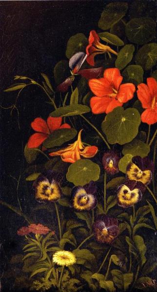 Pansies And Nasturtiums by Levi Wells Prentice