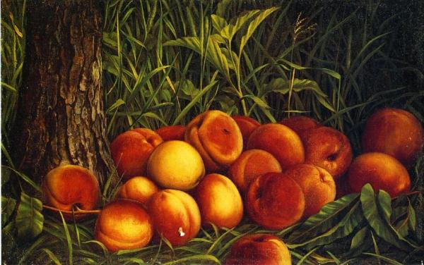 Peaches by Levi Wells Prentice