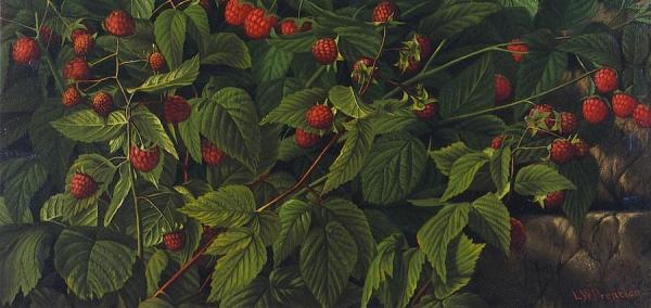 Raspberry Bush by Levi Wells Prentice