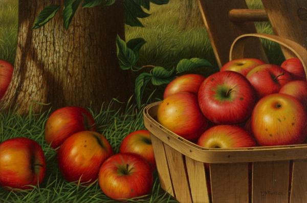 Still Life With Apples,ladder And Tree by Levi Wells Prentice