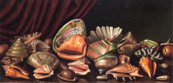 Still Life With Exotic Shells by Levi Wells Prentice