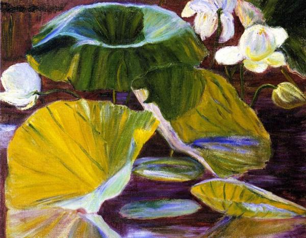 Lotus Flowers [oya, Japan] by Lilla Cabot Perry