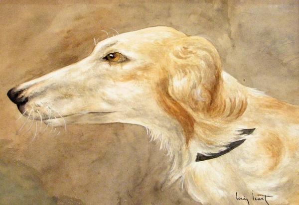 A Portrait Of A Borzoi by Louis Icart