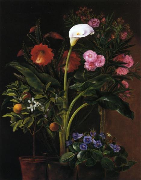 Still Life With Streptocarpus, Oleander, Calla Lily, Cactus Flowers And And Orange Tree by Louise Garlieb
