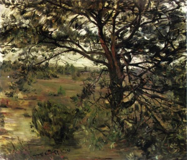 Luneberger Heide by Lovis Corinth