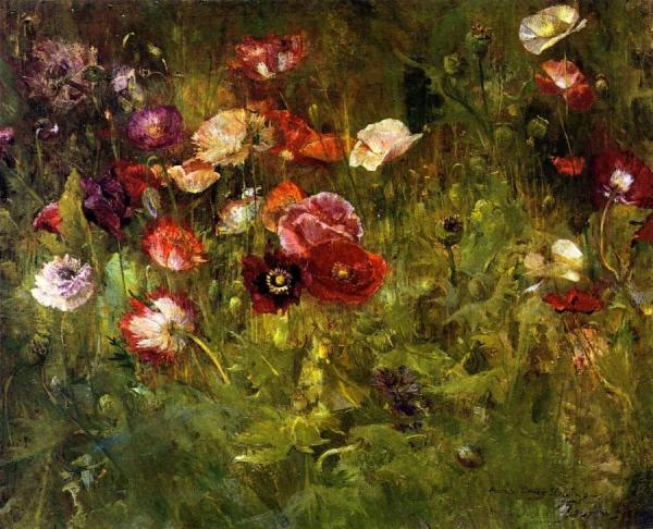 A Bed Of Poppies by Maria Oakey Dewing