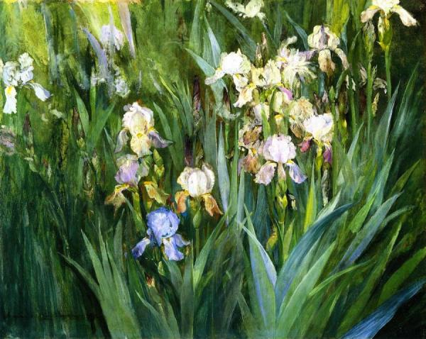 Iris At Dawn by Maria Oakey Dewing Oil Painting Reproductions