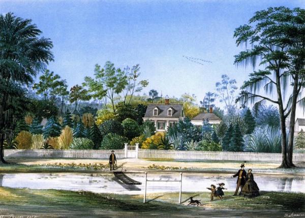 Balzamine by Marie Adrien Persac