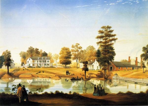 Orange Grove by Marie Adrien Persac