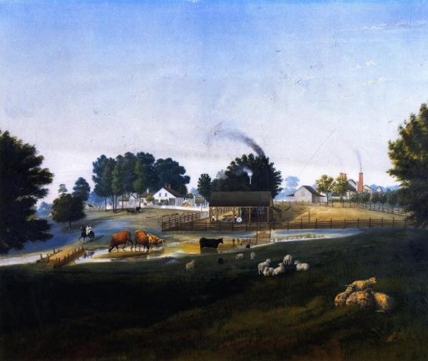 Prarie Sorrel by Marie Adrien Persac