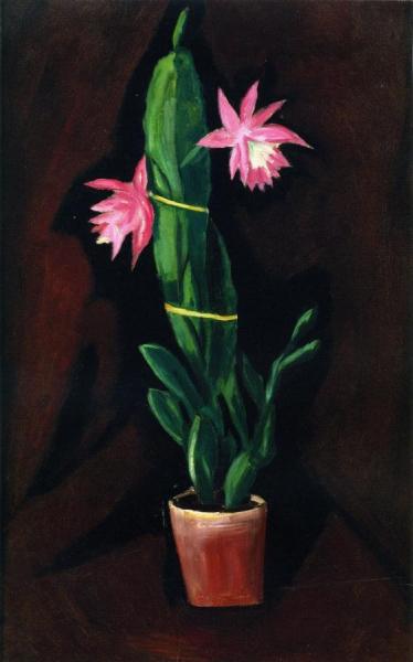 Marsden Hartley Cerise Cactus