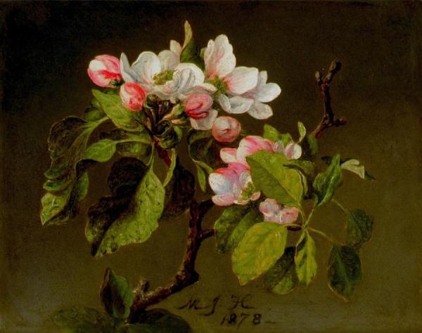 A Branch Of Apple Blossoms And Buds by Martin Johnson Heade Oil Painting Reproductions